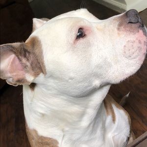 Meet your Posher, Alberto